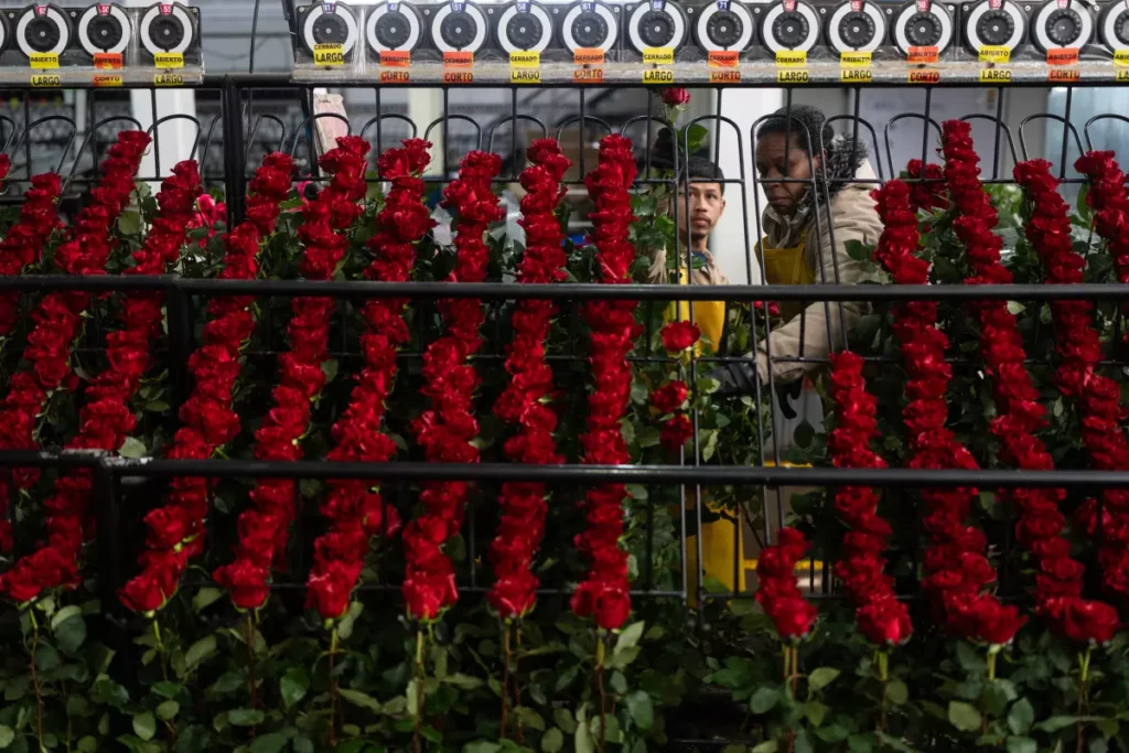 Why younger generations are turning away from imported flowers: the “local & sustainable” trend changing floristry